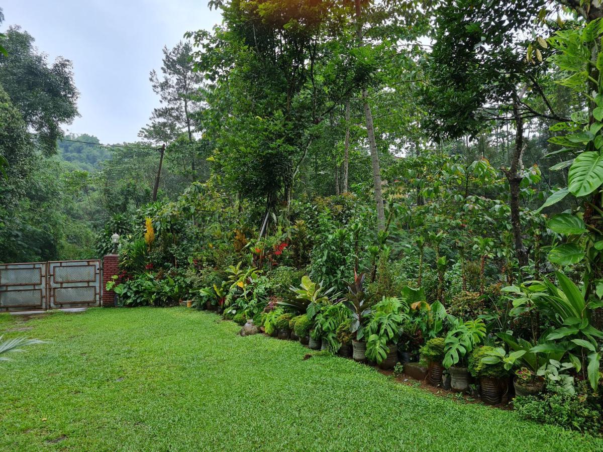 The Forest Villa Bogor Exterior foto